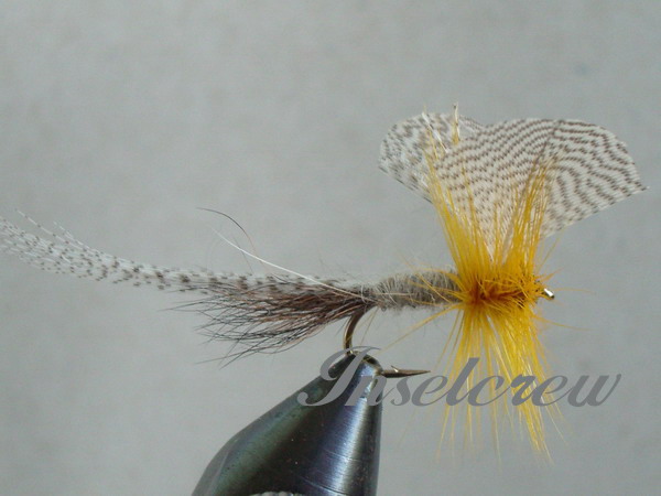 Yellow Mayfly Dun
