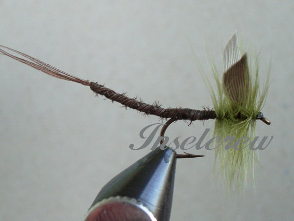 Olive Quill Extended Body Mayfly