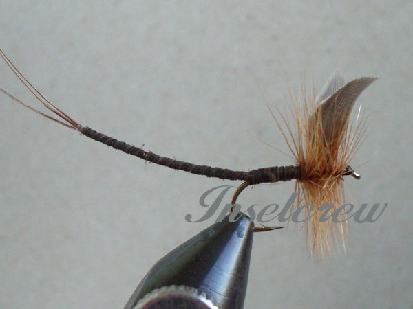 Ginger Quill Extended Body Mayfly