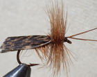 DARK BROWN HORNED ROOF WING