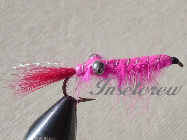 Glimmershrimp pink