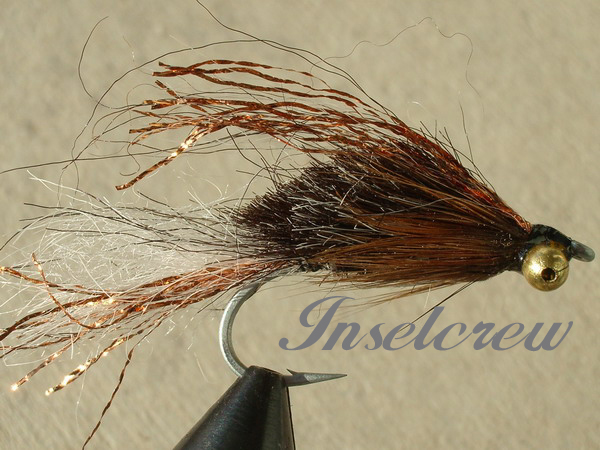 Hedgehog copper brown