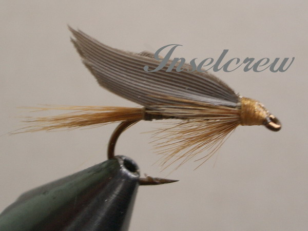 Ginger Quill ohne Widerhaken